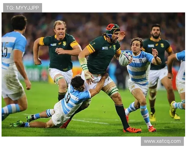 全球体育赛事高清视频下载资源 全球体育赛事高清视频下载资源