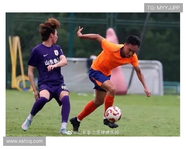 泰山8名国脚休整不赴海口集训